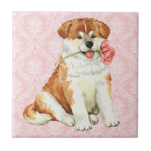 Namorados Rosa Akita