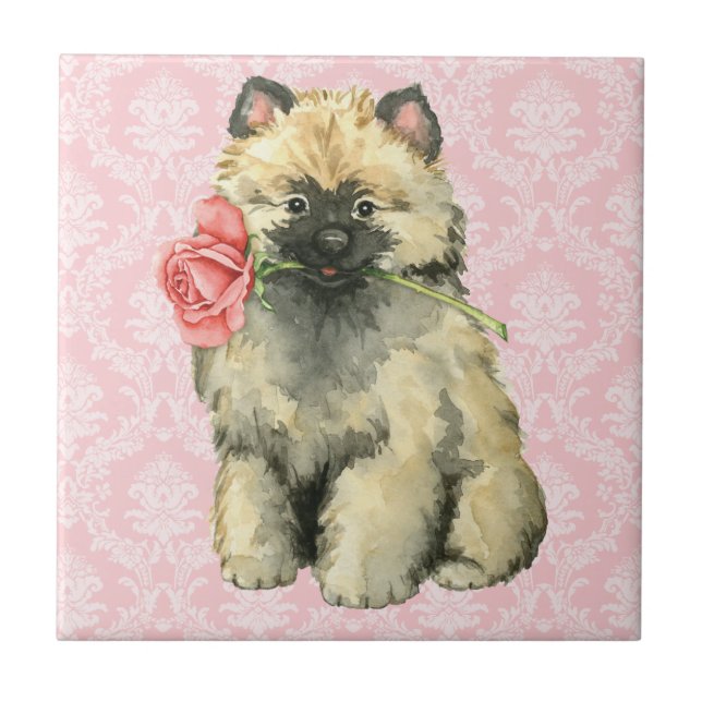 Namorados Rosa Keeshond (Frente)