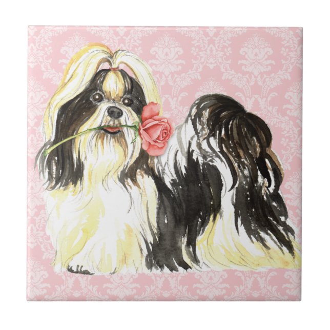 Namorados Rosa Shih Tzu (Frente)