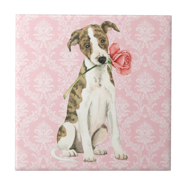 Namorados Rosa Whippet (Frente)