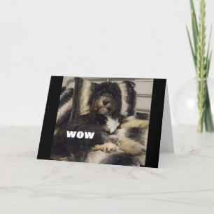 NÃO ACREDITO QUE VOCÊ É CARTÃO "60"