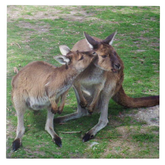 Não Agora, Skippy (Frente)