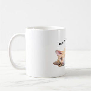 Não até eu ter minha caneca de café