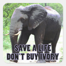 Não Comprar Ivory, salve o adesivo de um elefante