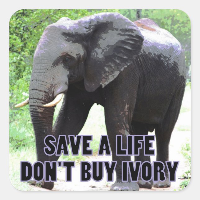 Não Comprar Ivory, salve o adesivo de um elefante (Frente)