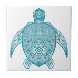 Não é maravilha comum