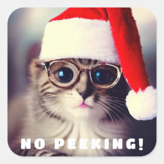 Não é necessário um adesivo redondo clássico de pi