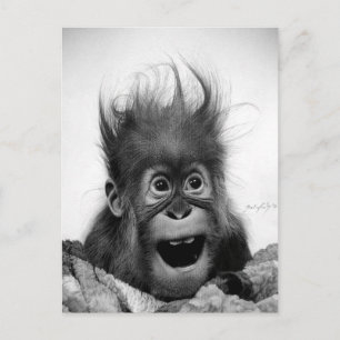 NÃO ENTRE EM PÂNICO! Cartão Postal