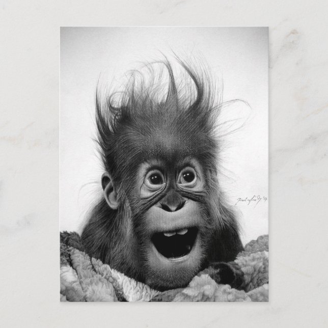 NÃO ENTRE EM PÂNICO! Cartão Postal (Frente)