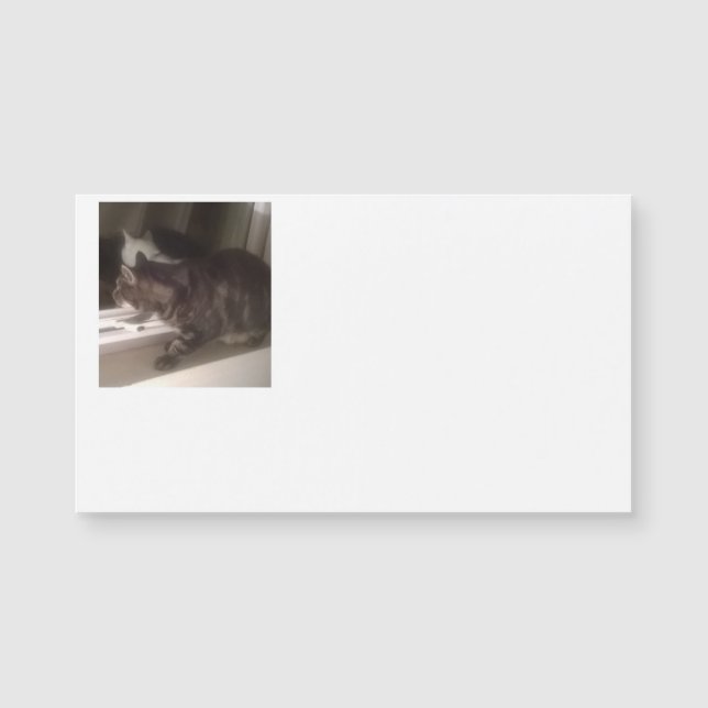 Não falar com você Dave Cartões de visitas Magnéti (Frente)