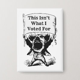 Não foi por isso que votei