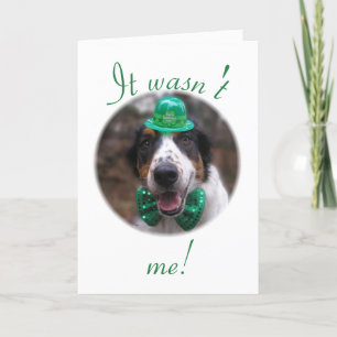 "Não fui eu!" Cartão de Festividades