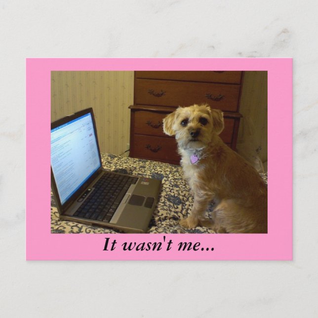 Não fui eu... Cartão Postal (Frente)