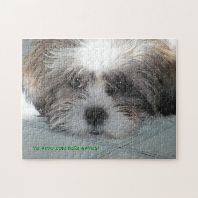 Não há Quebra-cabeça de Feliz Jigsee (Horizontal)