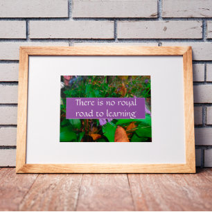 Não há um caminho real para aprender poster