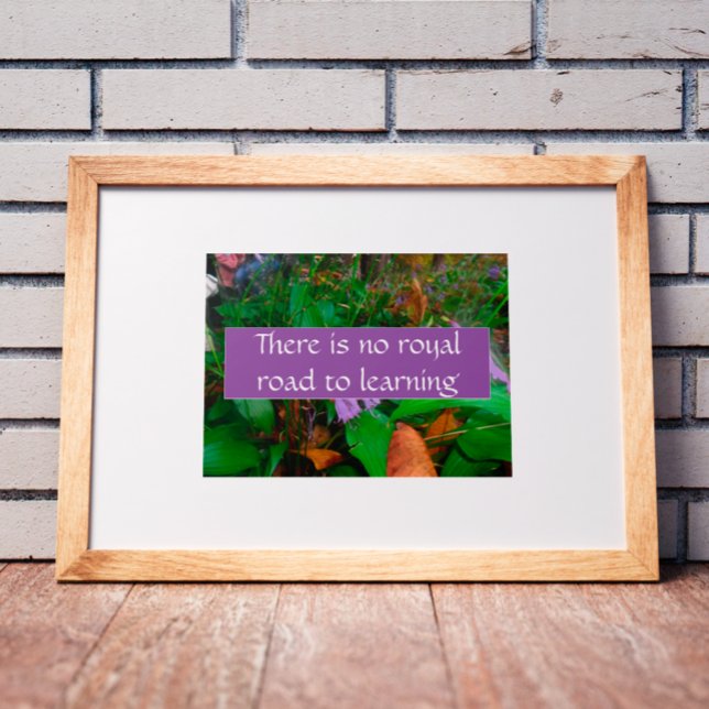 Não há um caminho real para aprender poster (Criador carregado)