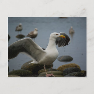 Não Incomodar Cartão Postal