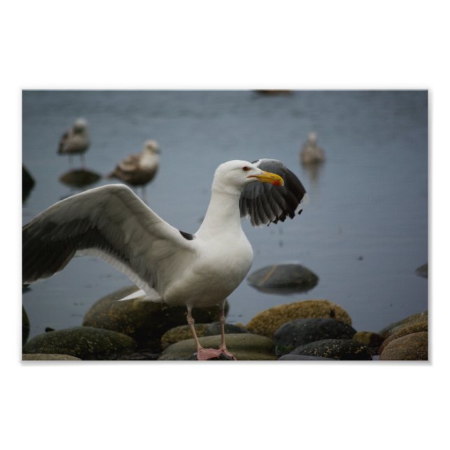 Não Incomodar Foto (Frente)