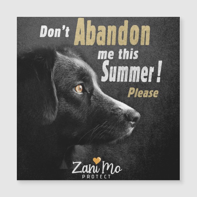 Não me abandone este Verão - Proteção dos cães (Frente)