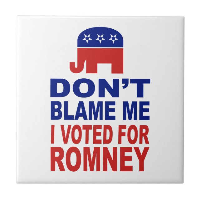 Não me responsabilize que eu votei para Romney (Frente)