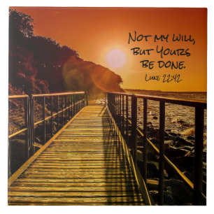 Não minha vontade mas sua seja escritura feita do