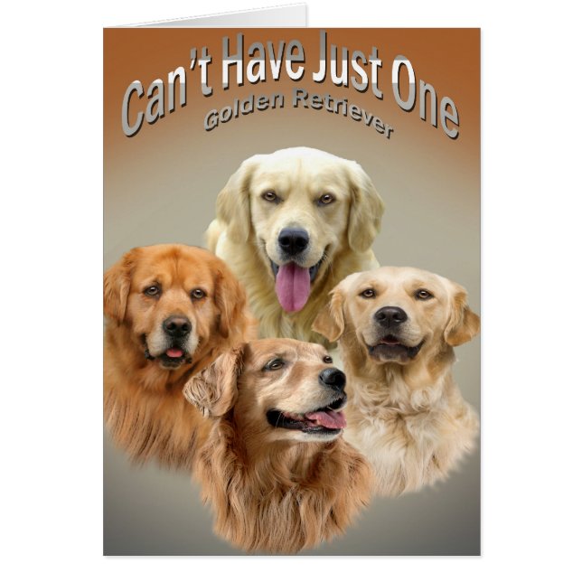 Não pode ter cartões de apenas um golden retriever (Frente)