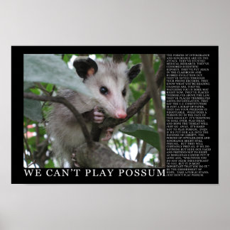 Não podemos jogar Poster de Possum