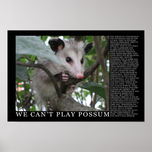 Não podemos jogar Poster de Possum (Frente)