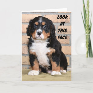 NÃO POSSO DIZER PESSOALMENTE TÃO TRISTE CARTÃO DE