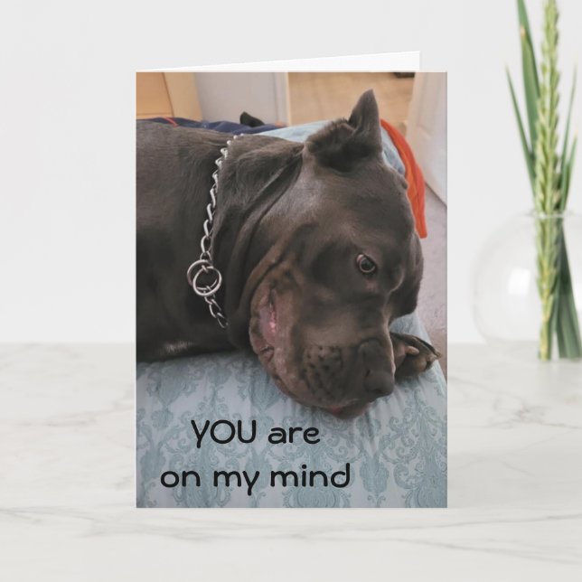 NÃO POSSO PENSAR EM SONO DE VOCÊ/PERDER A CARTÃO T (Frente)