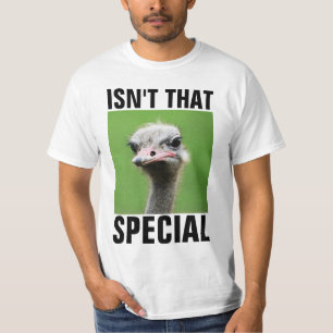 NÃO SÃO ESSAS CAMISAS DE T-SHIRTS ESPECIAIS E BONI