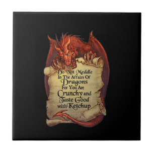 Não Se Mexa Nos Assuntos Dos Dragões Para Você