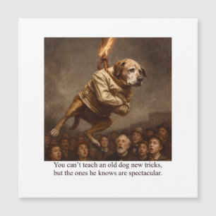 Não se pode ensinar truques novos a um cachorro ve