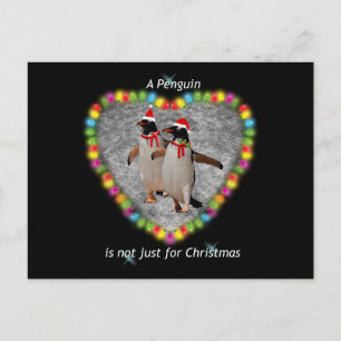 Não só pelo cartão postal de Natal