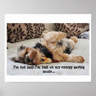 "Não sou preguiçoso" Poster de valor