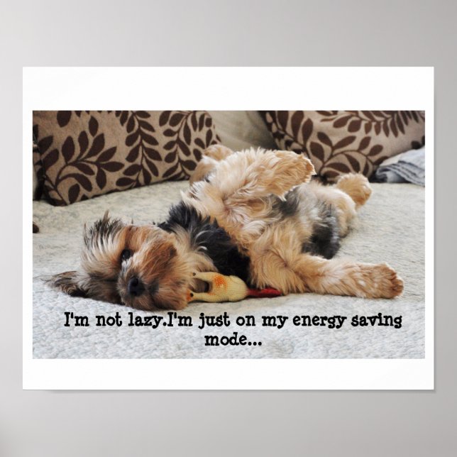 "Não sou preguiçoso" Poster de valor (Frente)