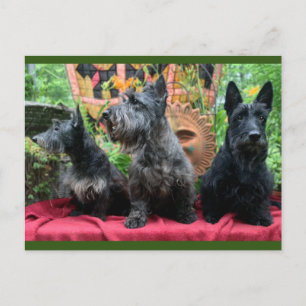 Não vai parecer um cartão de Posto