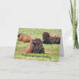 Não voa em você no seu aniversário - Cartão de ani