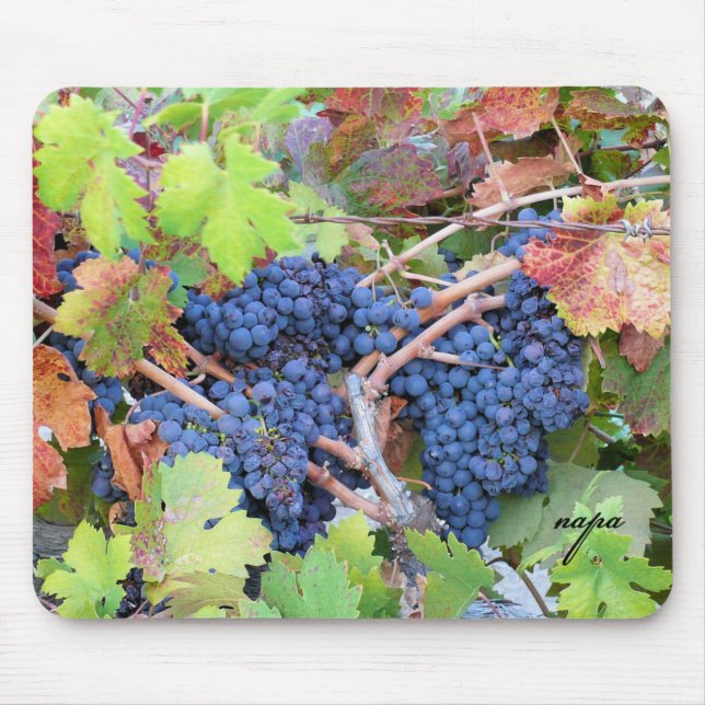 Napa Valley Colheita Mousepad (Frente)