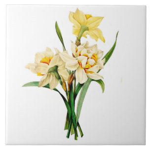 Narciso