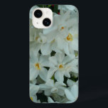 Narciso Branco Delicado de Paperwhite Flores<br><div class="desc">Os paperwhites são o membro mais covarde da família narciso,  e eles cheiram muito doce. Aqui está um cheio bonito de pequenos papagaios. Vejam a nossa loja de flores de primavera mais bonitas. Esta imagem também é apresentada como o wallpaper widescreen "Paperwhite Narciso",  de www.mlewallpapers.com.</div>