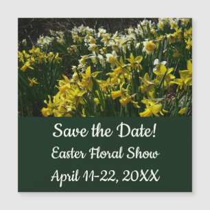 Narciso Branco Delicado de Paperwhite Flores