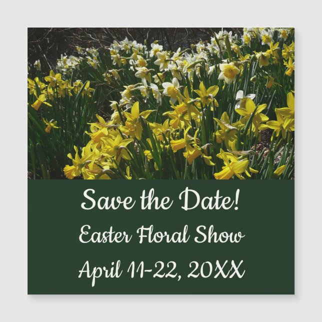 Narciso Branco Delicado de Paperwhite Flores (Frente)