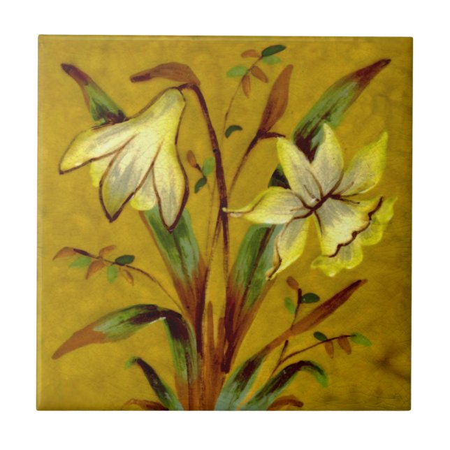 Narciso Daffodil Barbotine Sherwin Cotton Repro (Frente)