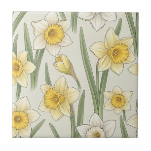 Narciso Floral de Primavera em Amarelo Suave e Ver