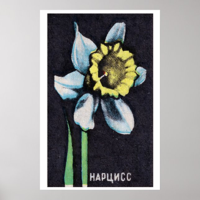 Narciso - Impressão Caixa de Fósforos - Arte de Pa (Frente)