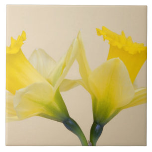 Narcisos amarelos