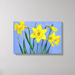 Narcisos amarelos em impressão de tela de lona azu