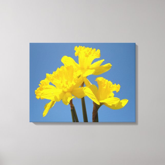 Narcisos de Primavera Impressões Florais em Tela C (Frente)