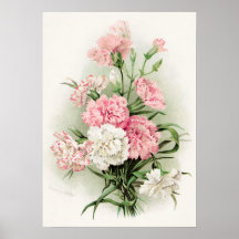 Narrativas de safra bonitas, poster